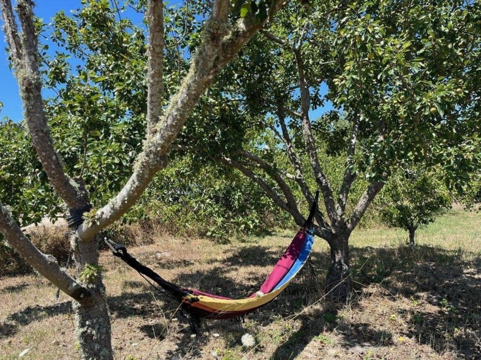 Niedliches Landhaus Nur 2Km Vom Strand Entfernt, Odeceixe Dış mekan fotoğraf
