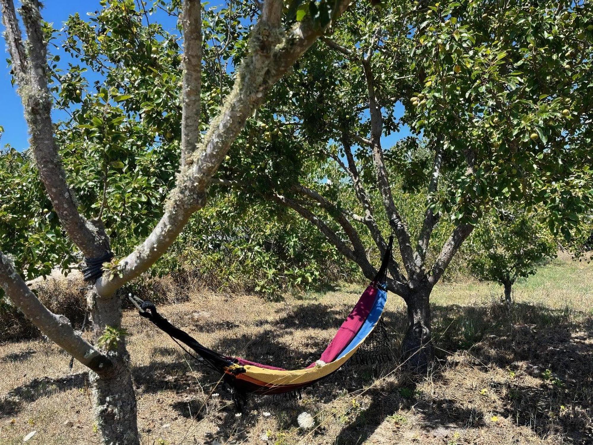 Niedliches Landhaus Nur 2Km Vom Strand Entfernt, Odeceixe Dış mekan fotoğraf